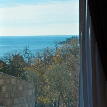 St.George Apartments Petrovac Phòng bức ảnh